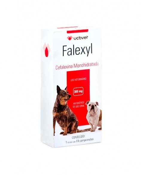 Falexyl Antibiótico para Cães com 14 Comprimidos 300mg UCBVET