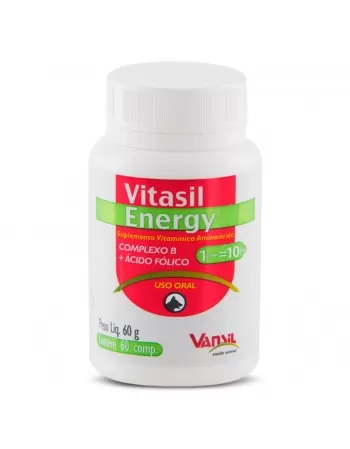 Vitasil Energy Suplemento Vitamínico Aminoácido para Cães 60g Vansil